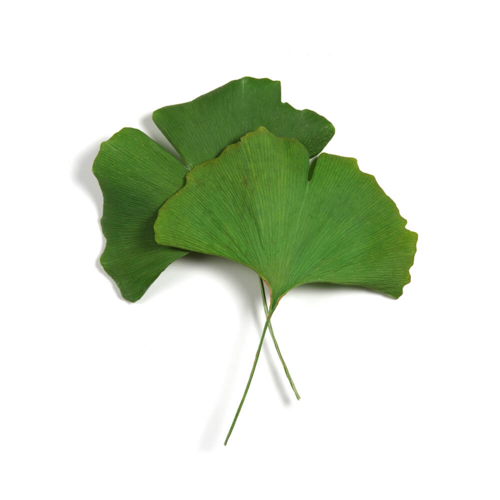 @@