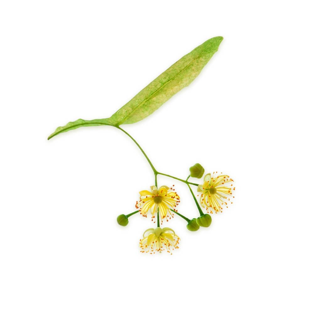 @@