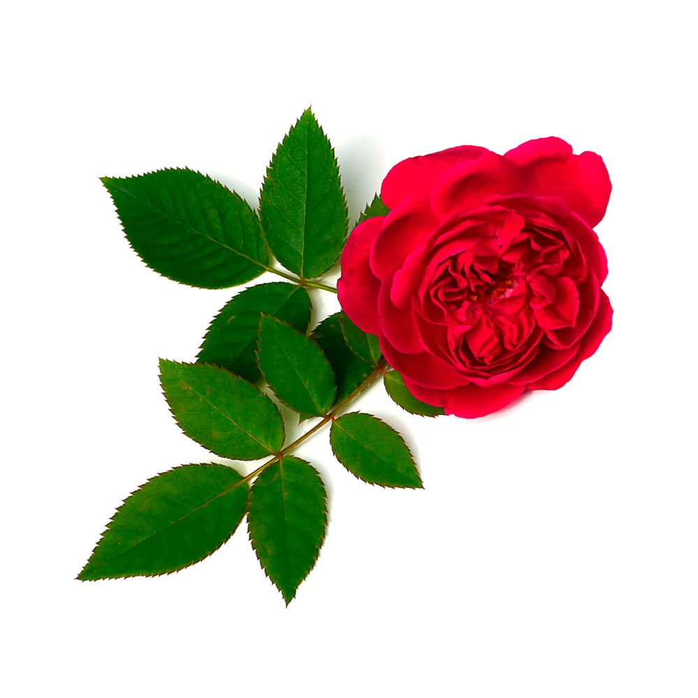 @@